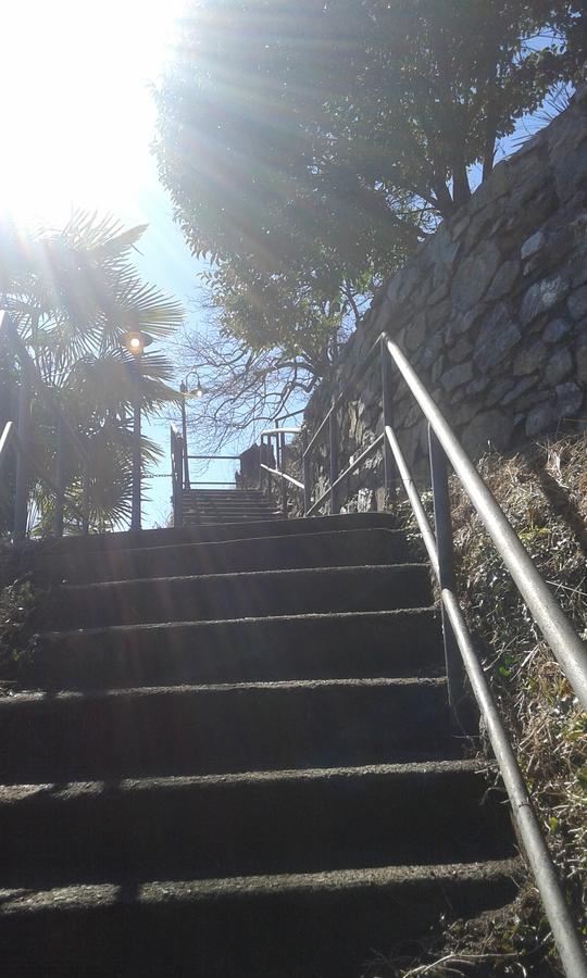 Il Nido Sul Lago Stresa Bagian luar foto